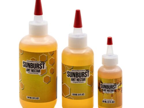 Three sizes of Sunburst Ant Nectar