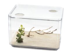 Outworld with plant and tree branch.