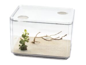 Outworld with plant and tree branch.