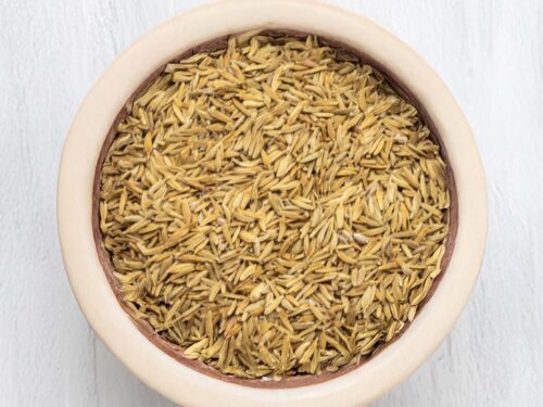 Dandelion Seeds for Harvester Ants - image 2 of 2