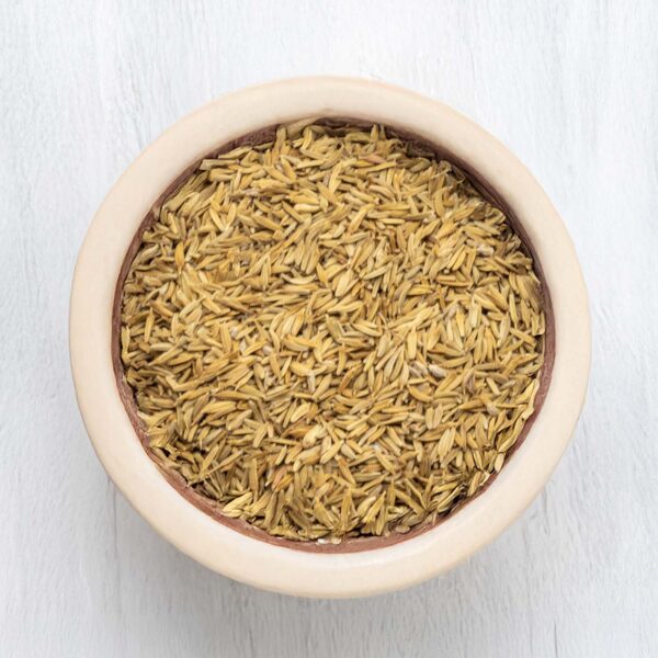 Dandelion Seeds for Harvester Ants - Image 2