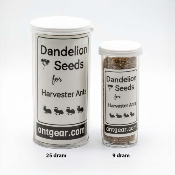 One small and one large bottle of dandelion seeds.
