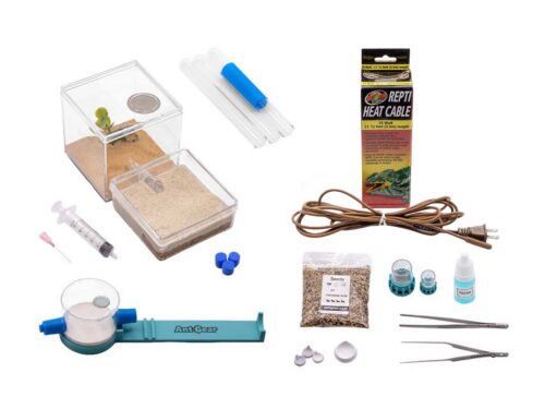 Overhead view of ant keeping supplies including test tubes, a heat cable, and ant farms.