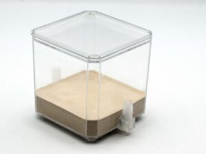 Vertical Founding Den - Atta, or Trachymyrmex for sale at AntGear