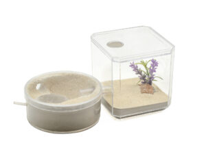 NectarNest: The Perfect Hangout for Your Colony for sale at AntGear