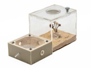 Antquarters - Nests that Connect for sale at AntGear