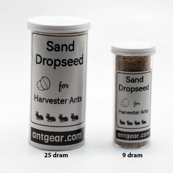 Two sizes of sand dropseed